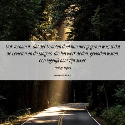 Picture 06 - Nehemia 13:10 NLD - Ook vernam ik, dat der Levieten deel hun niet - Bible Verse Picture