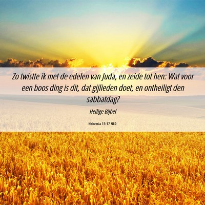 Picture 06 - Nehemia 13:17 NLD - Zo twistte ik met de edelen van Juda, en zeide - Bible Verse Picture