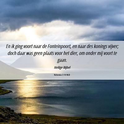 Picture 06 - Nehemia 2:14 NLD - En ik ging voort naar de Fonteinpoort, en naar - Bible Verse Picture