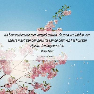 Picture 06 - Nehemia 3:20 NLD - Na hem verbeterde zeer vuriglijk Baruch, de zoon - Bible Verse Picture