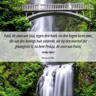 Picture 06 - Nehemia 3:25 NLD - Palal, de zoon van Uzai, tegen den hoek, en den - Bible Verse Picture