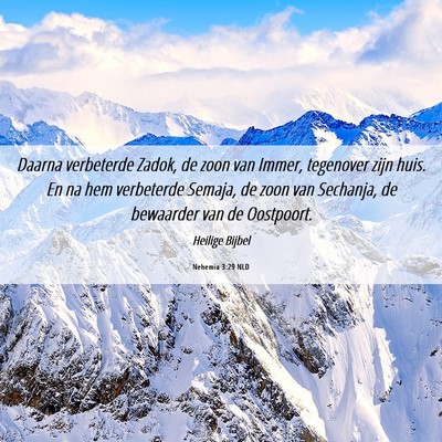 Picture 06 - Nehemia 3:29 NLD - Daarna verbeterde Zadok, de zoon van Immer, - Bible Verse Picture