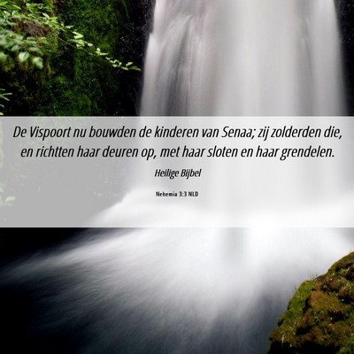 Picture 06 - Nehemia 3:3 NLD - De Vispoort nu bouwden de kinderen van Senaa; zij - Bible Verse Picture