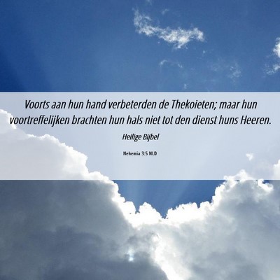 Picture 06 - Nehemia 3:5 NLD - Voorts aan hun hand verbeterden de Thekoieten; - Bible Verse Picture