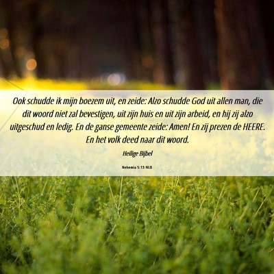 Picture 06 - Nehemia 5:13 NLD - Ook schudde ik mijn boezem uit, en zeide: Alzo - Bible Verse Picture