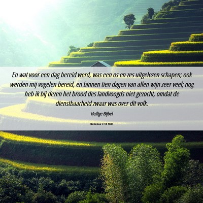 Picture 06 - Nehemia 5:18 NLD - En wat voor een dag bereid werd, was een os en - Bible Verse Picture