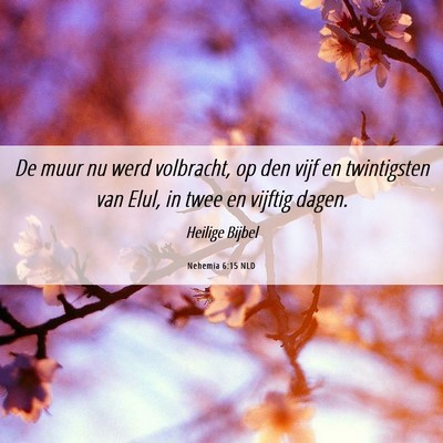 Picture 06 - Nehemia 6:15 NLD - De muur nu werd volbracht, op den vijf en - Bible Verse Picture