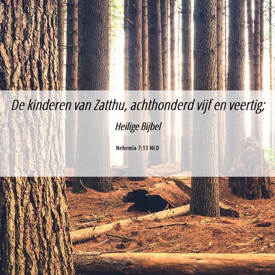 Picture 06 - Nehemia 7:13 NLD - De kinderen van Zatthu, achthonderd vijf en - Bible Verse Picture