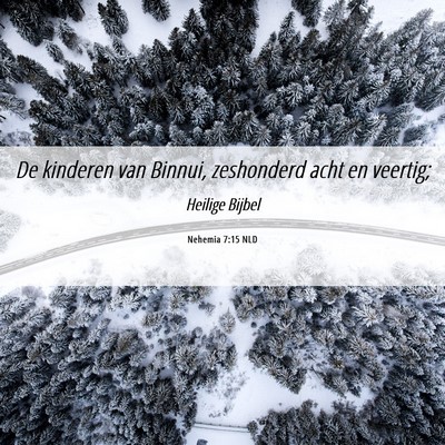 Picture 06 - Nehemia 7:15 NLD - De kinderen van Binnui, zeshonderd acht en - Bible Verse Picture