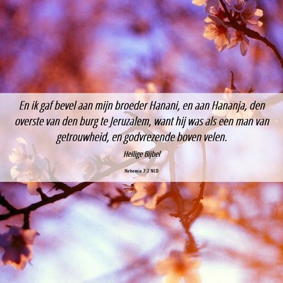 Picture 06 - Nehemia 7:2 NLD - En ik gaf bevel aan mijn broeder Hanani, en aan - Bible Verse Picture