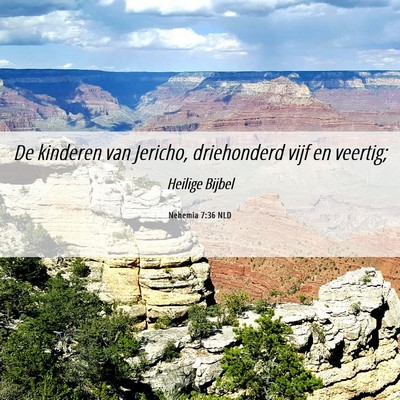 Picture 06 - Nehemia 7:36 NLD - De kinderen van Jericho, driehonderd vijf en - Bible Verse Picture