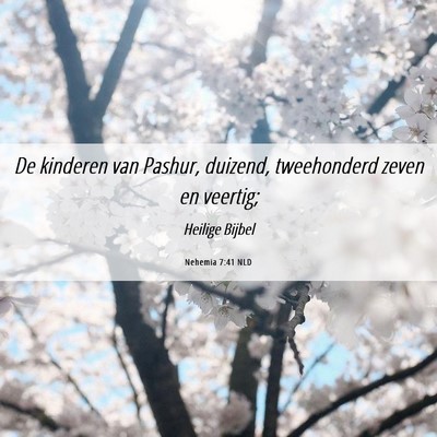 Picture 06 - Nehemia 7:41 NLD - De kinderen van Pashur, duizend, tweehonderd - Bible Verse Picture