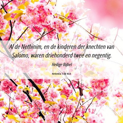 Picture 06 - Nehemia 7:60 NLD - Al de Nethinim, en de kinderen der knechten van - Bible Verse Picture