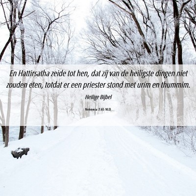 Picture 06 - Nehemia 7:65 NLD - En Hattirsatha zeide tot hen, dat zij van de - Bible Verse Picture