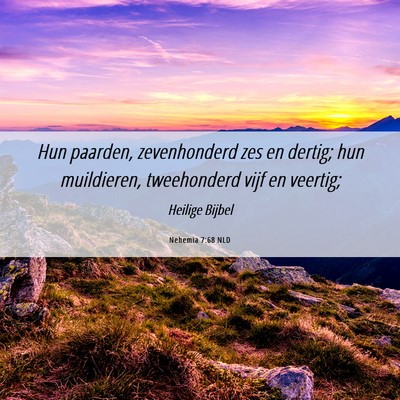 Picture 06 - Nehemia 7:68 NLD - Hun paarden, zevenhonderd zes en dertig; hun - Bible Verse Picture