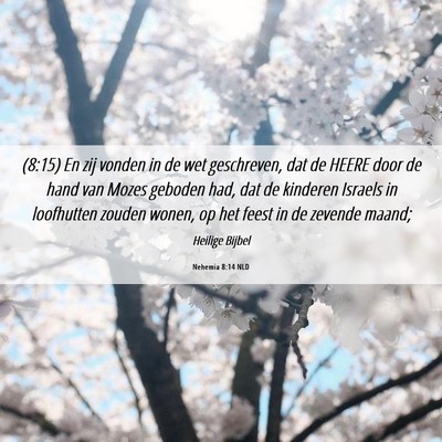 Picture 06 - Nehemia 8:14 NLD - (8:15) En zij vonden in de wet geschreven, dat de - Bible Verse Picture