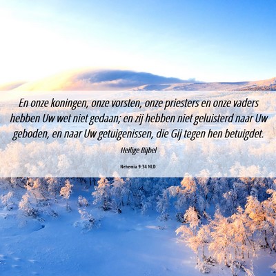 Picture 06 - Nehemia 9:34 NLD - En onze koningen, onze vorsten, onze priesters en - Bible Verse Picture