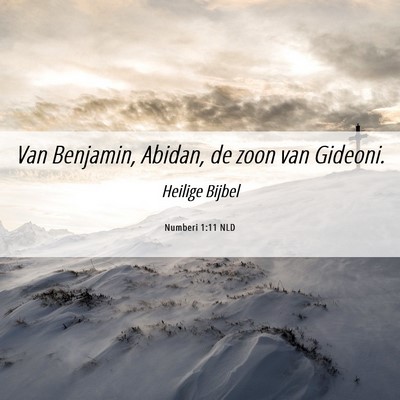 Picture 06 - Numberi 1:11 NLD - Van Benjamin, Abidan, de zoon van - Bible Verse Picture