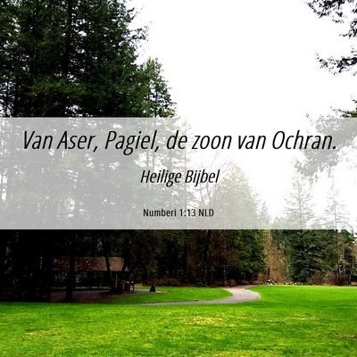 Picture 06 - Numberi 1:13 NLD - Van Aser, Pagiel, de zoon van - Bible Verse Picture