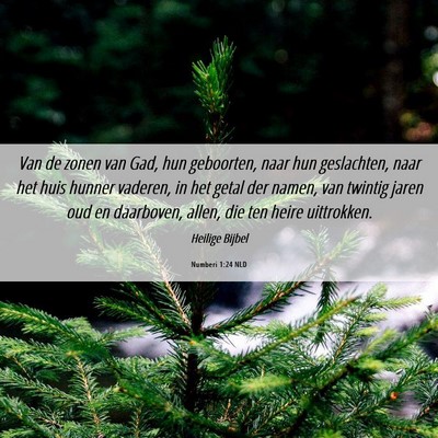 Picture 06 - Numberi 1:24 NLD - Van de zonen van Gad, hun geboorten, naar hun - Bible Verse Picture