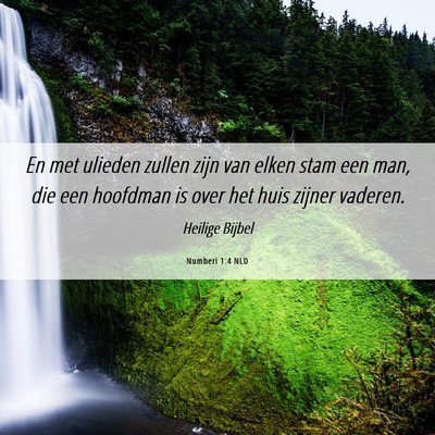 Picture 06 - Numberi 1:4 NLD - En met ulieden zullen zijn van elken stam een - Bible Verse Picture
