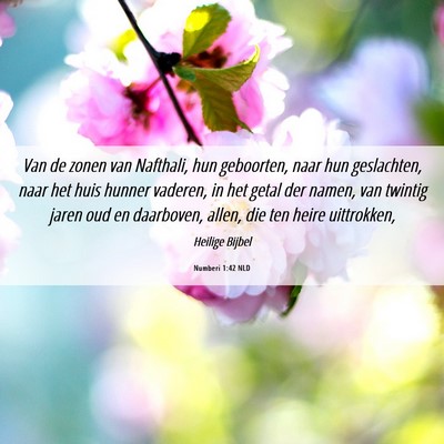 Picture 06 - Numberi 1:42 NLD - Van de zonen van Nafthali, hun geboorten, naar - Bible Verse Picture