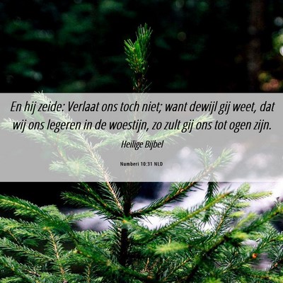 Picture 06 - Numberi 10:31 NLD - En hij zeide: Verlaat ons toch niet; want dewijl - Bible Verse Picture