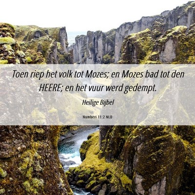 Picture 06 - Numberi 11:2 NLD - Toen riep het volk tot Mozes; en Mozes bad tot - Bible Verse Picture