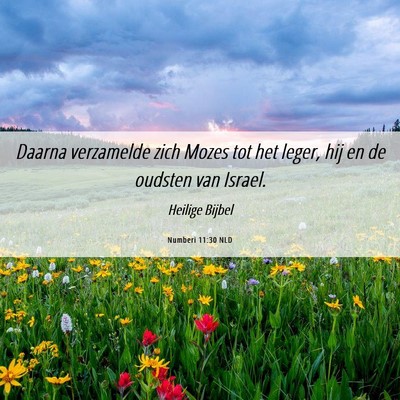 Picture 06 - Numberi 11:30 NLD - Daarna verzamelde zich Mozes tot het leger, hij - Bible Verse Picture