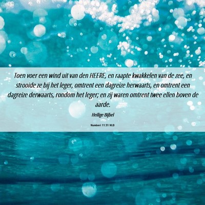 Picture 06 - Numberi 11:31 NLD - Toen voer een wind uit van den HEERE, en raapte - Bible Verse Picture