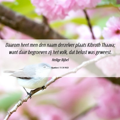Picture 06 - Numberi 11:34 NLD - Daarom heet men den naam derzelver plaats Kibroth - Bible Verse Picture