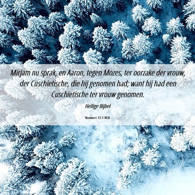 Picture 06 - Numberi 12:1 NLD - Mirjam nu sprak, en Aaron, tegen Mozes, ter - Bible Verse Picture