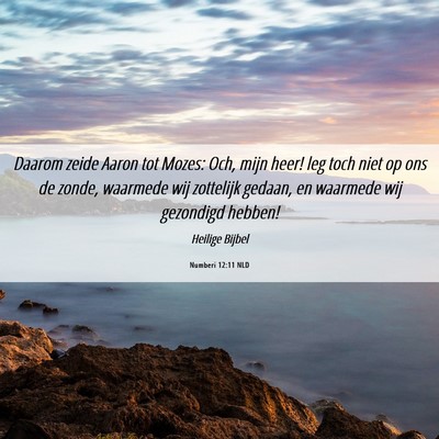Picture 06 - Numberi 12:11 NLD - Daarom zeide Aaron tot Mozes: Och, mijn heer! leg - Bible Verse Picture