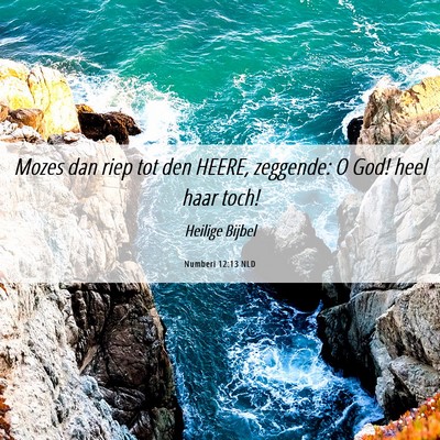Picture 06 - Numberi 12:13 NLD - Mozes dan riep tot den HEERE, zeggende: O God! - Bible Verse Picture