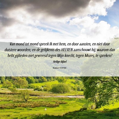 Picture 06 - Numberi 12:8 NLD - Van mond tot mond spreek Ik met hem, en door - Bible Verse Picture