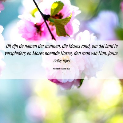 Picture 06 - Numberi 13:16 NLD - Dit zijn de namen der mannen, die Mozes zond, om - Bible Verse Picture