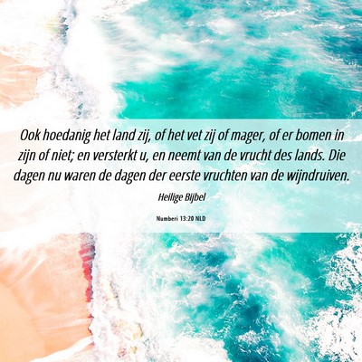 Picture 06 - Numberi 13:20 NLD - Ook hoedanig het land zij, of het vet zij of - Bible Verse Picture
