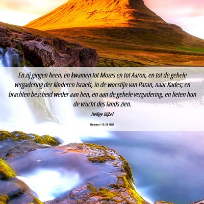 Picture 06 - Numberi 13:26 NLD - En zij gingen heen, en kwamen tot Mozes en tot - Bible Verse Picture
