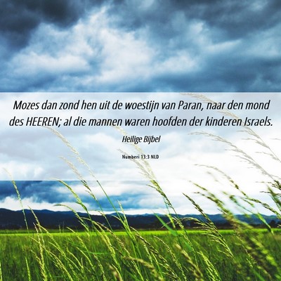Picture 06 - Numberi 13:3 NLD - Mozes dan zond hen uit de woestijn van Paran, - Bible Verse Picture