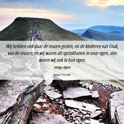Picture 06 - Numberi 13:33 NLD - Wij hebben ook daar de reuzen gezien, en de - Bible Verse Picture