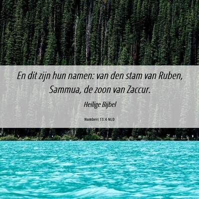 Picture 06 - Numberi 13:4 NLD - En dit zijn hun namen: van den stam van Ruben, - Bible Verse Picture