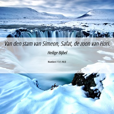 Picture 06 - Numberi 13:5 NLD - Van den stam van Simeon, Safat, de zoon van - Bible Verse Picture