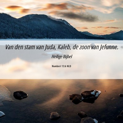 Picture 06 - Numberi 13:6 NLD - Van den stam van Juda, Kaleb, de zoon van - Bible Verse Picture
