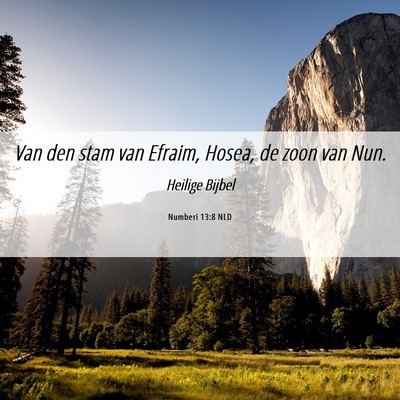 Picture 06 - Numberi 13:8 NLD - Van den stam van Efraim, Hosea, de zoon van - Bible Verse Picture