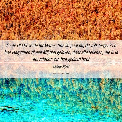 Picture 06 - Numberi 14:11 NLD - En de HEERE zeide tot Mozes: Hoe lang zal mij dit - Bible Verse Picture