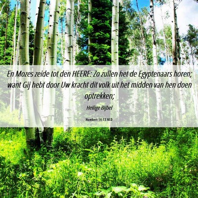 Picture 06 - Numberi 14:13 NLD - En Mozes zeide tot den HEERE: Zo zullen het de - Bible Verse Picture