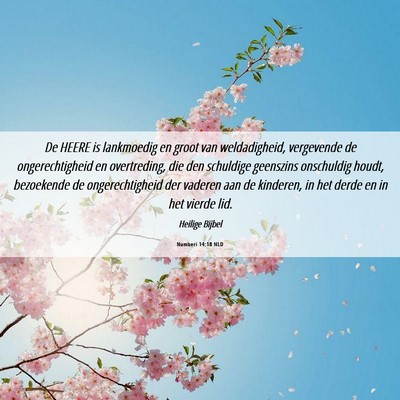 Picture 06 - Numberi 14:18 NLD - De HEERE is lankmoedig en groot van weldadigheid, - Bible Verse Picture