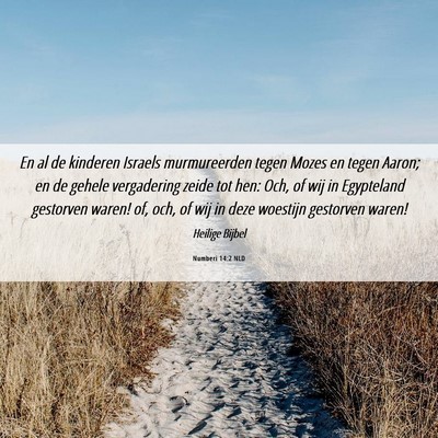 Picture 06 - Numberi 14:2 NLD - En al de kinderen Israels murmureerden tegen - Bible Verse Picture
