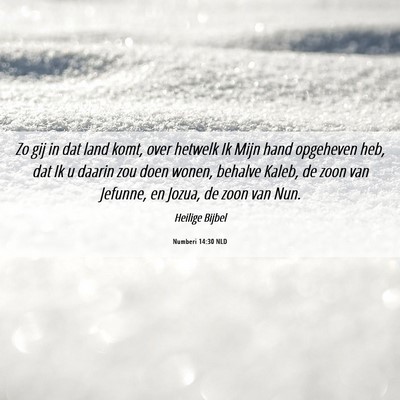 Picture 06 - Numberi 14:30 NLD - Zo gij in dat land komt, over hetwelk Ik Mijn - Bible Verse Picture