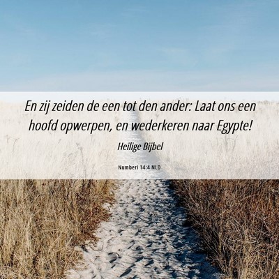 Picture 06 - Numberi 14:4 NLD - En zij zeiden de een tot den ander: Laat ons een - Bible Verse Picture